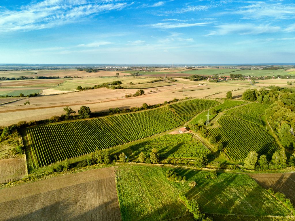 fotografia nieruchomości lubin zdjęcia z drona